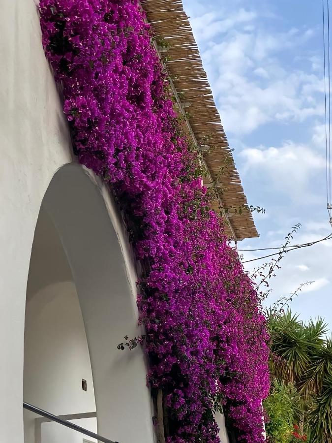 Apartmán Roberhouse Tragara 37 Capri Exteriér fotografie